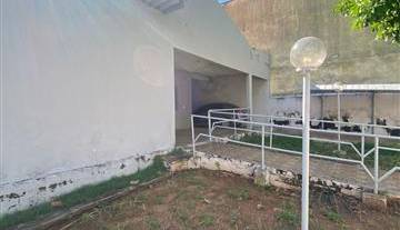 WhatsApp Image 2026-04-08 at 18.44.38.jpeg